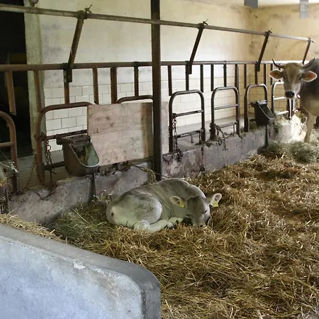 Hotel Garni Maselheimer Hof Maselheim