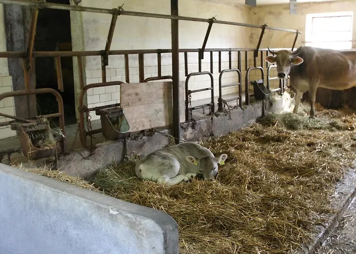 Hotel Garni Maselheimer Hof Maselheim